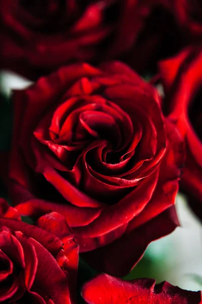 Costoso Mazzo Grandi Rose Rosse Sfondo Molte Rose Rosse — Foto Stock