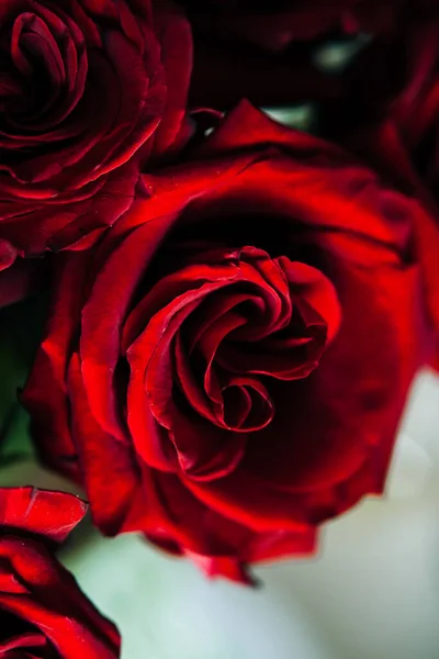 Buquê Caro Grandes Rosas Vermelhas Fundo Muitas Rosas Vermelhas — Fotografia de Stock