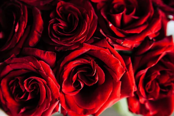 Buquê Caro Grandes Rosas Vermelhas Fundo Muitas Rosas Vermelhas — Fotografia de Stock