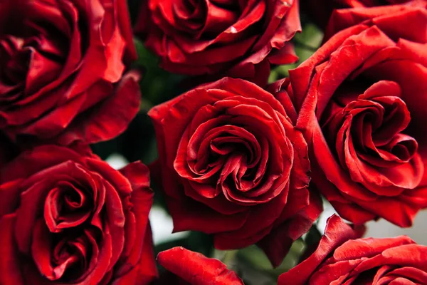 Costoso Mazzo Grandi Rose Rosse Sfondo Molte Rose Rosse — Foto Stock