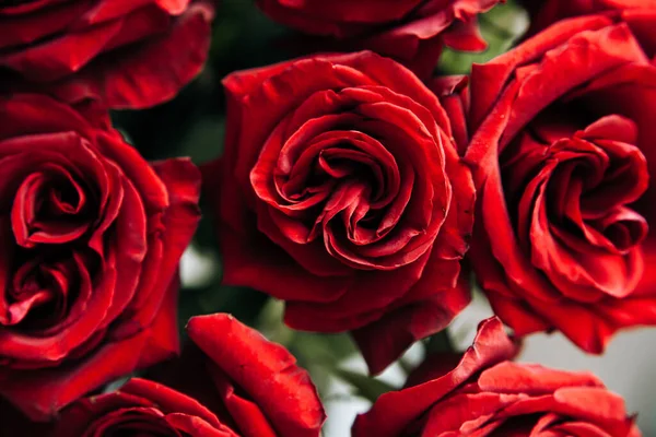 expensive bouquet of large red roses, background of many red roses