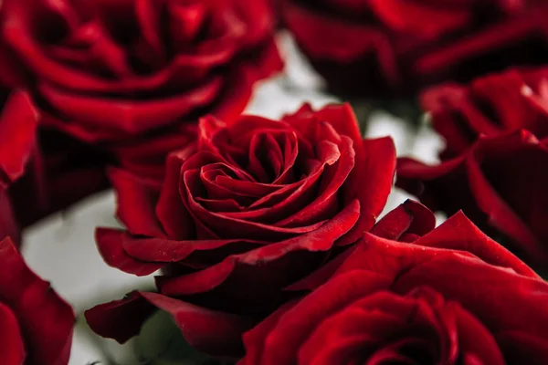 Costoso Mazzo Grandi Rose Rosse Sfondo Molte Rose Rosse — Foto Stock