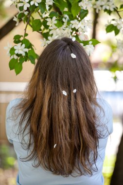 apple blossom petals on long blond hair
