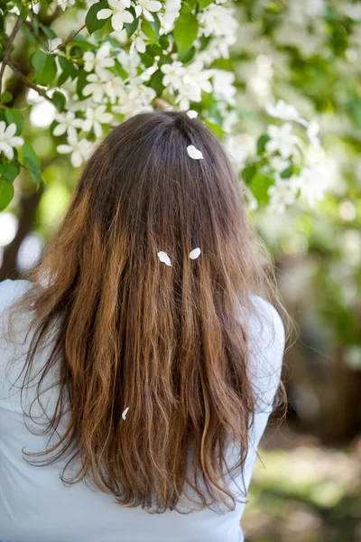 Apple Blossom Petals Long Blond Hair —  Fotos de Stock