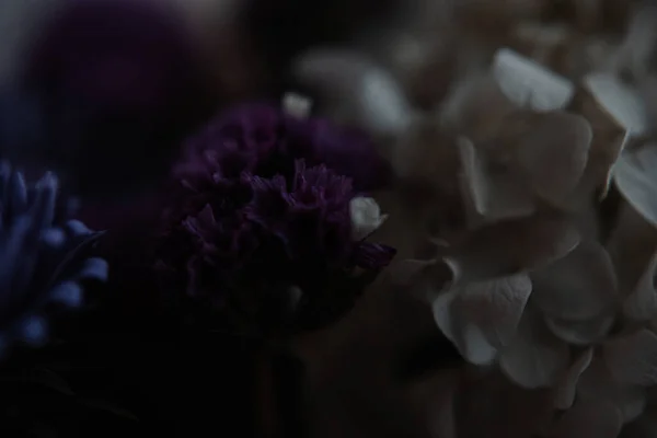 Fotografía Hortensias Blancas Estilo Oscuro Tono Bajo —  Fotos de Stock