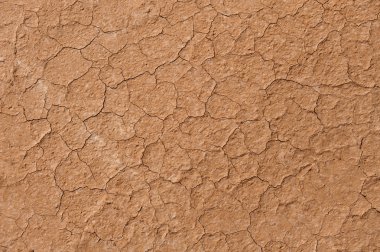 Kuru çatlamış toprak