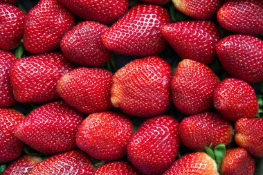 Taze çileklerin arkaplanı