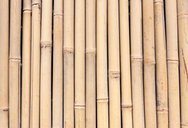 doğal bambu arka plan