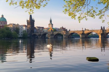 erken bahar sabahı Vltava Nehri, Prague, Çek Cumhuriyeti