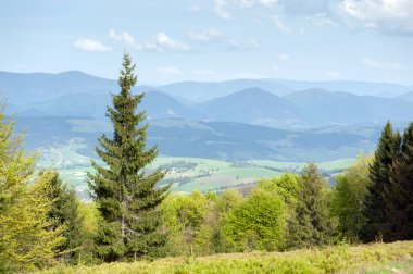 Dağ manzarası Karpat, Ukrayna