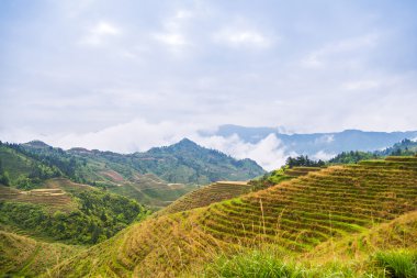 (köy Dazhai, Guangxi eyaleti, Çin pirinç terasları manzarada olabilir)