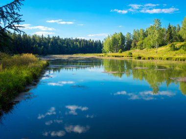 Rus yaz yatay, göl ve orman