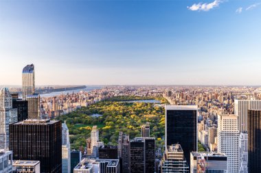 park ve Manhattan, New York şehrinin gökdelenleri Üstten Görünüm 
