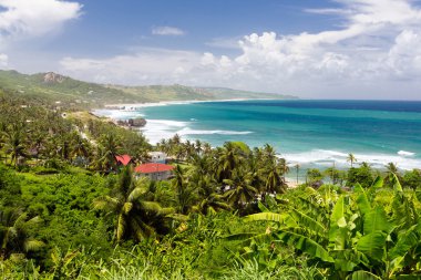 Üstten Görünüm tropikal ada Barbados, Caribbean
