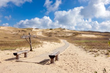 ahşap geçit üzerinde kum tepeleri, Curonian Spit, Litvanya