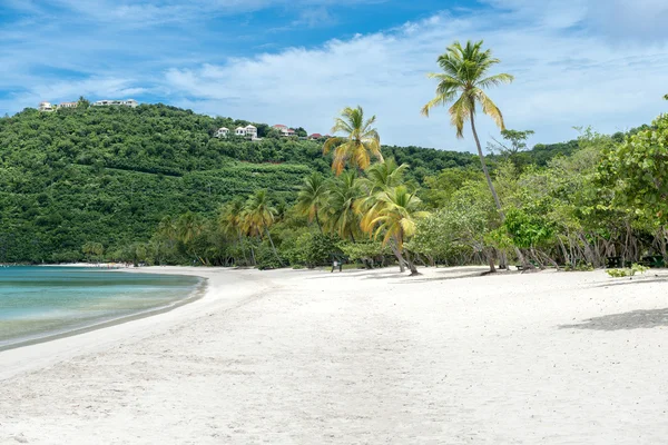 Playa tropical en la isla caribeña — Foto de Stock