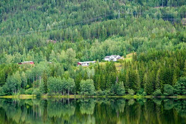 Domy na wzgórzu nad brzegiem jeziora Las, Norwegia — Zdjęcie stockowe