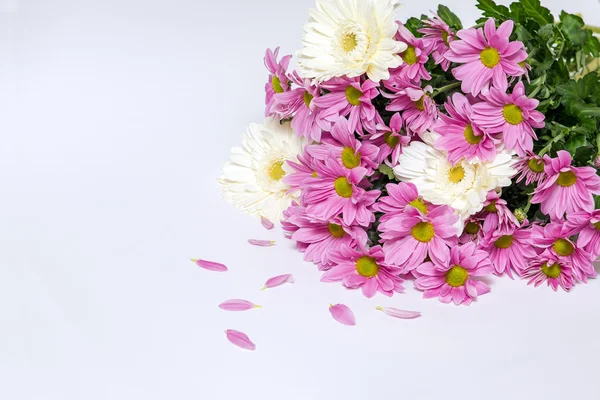 Букет розовой хризантемы и цветок герберы — стоковое фото