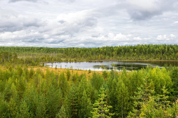 Paisagem de outono de floresta de pinheiro em Russky Sever National Park, norte da Rússia — Fotografia de Stock