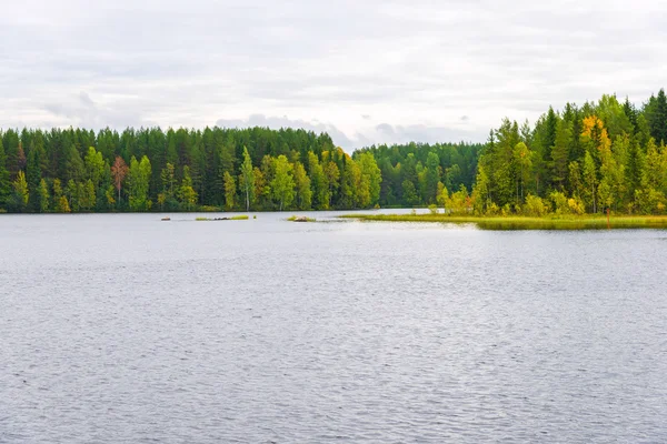 Krajina z podzimního lesa u jezera — Stock fotografie