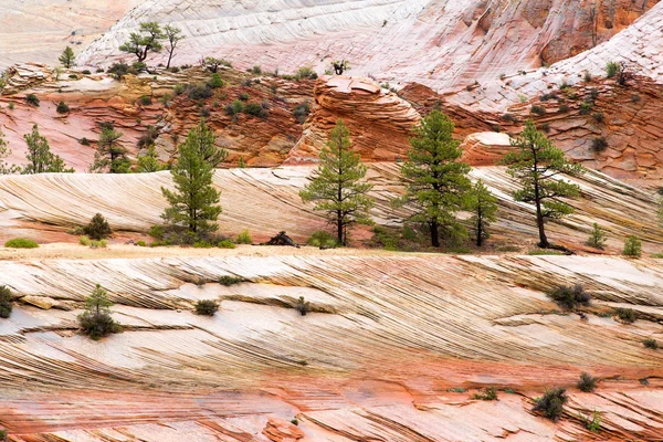 Τοπίο των βράχων χρώμα σε Zion Np — Φωτογραφία Αρχείου