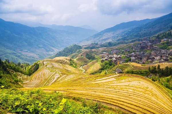 Ris terrasser landskap i kan (i byn Dazhai, Guangxi-provinsen, Kina) — Stockfoto