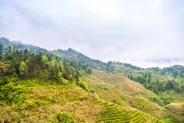 Ris terrasser landskap i kan (i byn Dazhai, Guangxi-provinsen, Kina) — Stockfoto