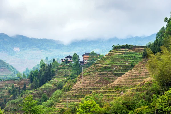 Ris terrasser landskap i kan (i byn Ping'an/Dazhai, Guangxi-provinsen, Kina) — Stockfoto