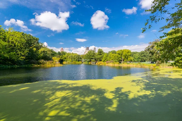 Krajobraz lato w Central park, Nowy Jork, Usa — Zdjęcie stockowe