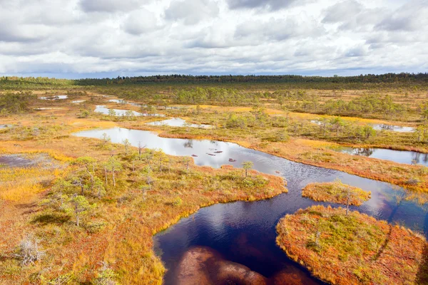 Vista superior da paisagem de outono. Enorme pântano na Estónia — Fotografia de Stock