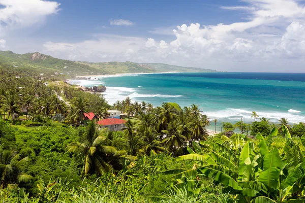 Vista superior de la isla tropical Barbados, Caribe — Foto de Stock