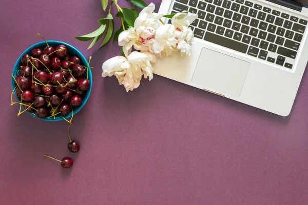 working place on purple background with laptop, red cherries and flower peonie