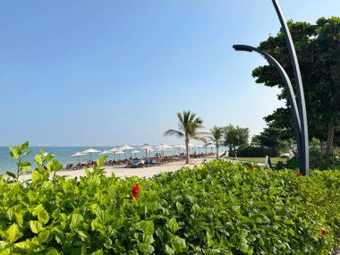 Dubai, BAE - 2 Kasım 2025. Dubai Adaları Sahili yemyeşil ve deniz manzaralı. Sahilde sahil yürüyüşleri, eğlence ve Dubai yaşam tarzı aşıkları için yeni bir yer..