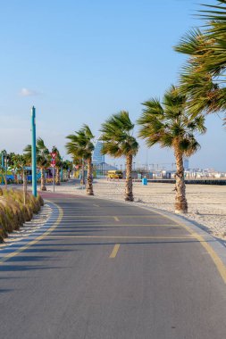 Dubai, Birleşik Arap Emirlikleri 'ndeki Kite Sahili boyunca palmiye ağaçlarıyla kaplı bisiklet yolu. Bisiklet sürmek, koşmak ve deniz manzarasından hoşlanan manzaralı bir kıyı yolu. 21 Ocak 2025, Dubai, BAE