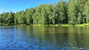 Ağaçları ve mavi gökyüzünü çevreleyen berrak suyla manzaralı yaz gölü manzarası. Bereketli yeşillik ve sakin atmosfer bu gölü ideal bir kaçış noktası yapıyor.