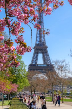 Paris, Fransa, 3 Nisan 2025. İlkbahar manzarası, Eiffel Kulesi. İlkbaharda çiçek açan kiraz çiçekleri, ilkbaharda Paris, ikonik Paris simgesi, seyahat atmosferi, turizm ve mevsimlik şehir hayatı çerçeveli.
