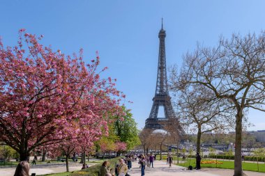 Paris, Fransa. 3 Nisan 2025. Paris 'te bahar aylarında Eyfel Kulesi yakınlarında kiraz çiçekleri açar. Ünlü Paris manzarası, şehir parkı manzarası, seyahat yeri ve Paris bahar havası..