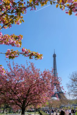 Paris, Fransa. 3 Nisan 2025. Arka planda Eyfel Kulesi olan kiraz ağaçları, Paris 'te ilkbahar, şehir parkı, turizm ve seyahat yaşam tarzı..