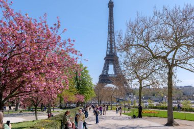 3 Nisan 2025, Paris, Fransa. İlkbaharda kiraz çiçekleri ve Eyfel Kulesi ile Paris, ikonik Paris simgesi, mevsimlik seyahat sahnesi, kentsel doğa ve turizm konsepti