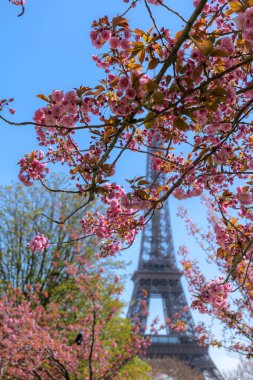 İlkbahar çiçekleri odak noktasında Eyfel Kulesi 'nin arkasında hafifçe bulanıklaşıyor, Paris çiçek açıyor, ikonik Avrupa simgesi, temiz seyahat ve mevsimlik arka plan