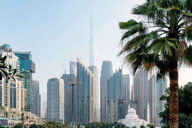 Dubai, BAE - 5 Şubat 2026. Modern Dubai silueti, Burj Halife 'nin zarif beyaz bir cami arkasında yükselmesi, İslam mimarisini berrak mavi gökyüzü altında çağdaş yüksek binalarla harmanlaması.