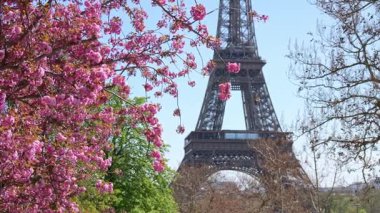 İlkbahar çiçekleri odak noktasında Eyfel Kulesi 'nin arkasında hafifçe bulanıklaşıyor, Paris çiçek açıyor, ikonik Avrupa simgesi, temiz seyahat ve mevsimlik arka plan
