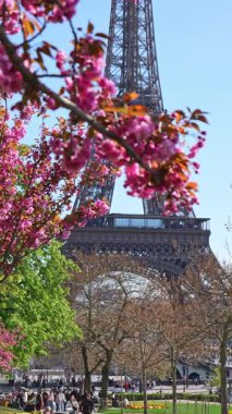 İlkbaharda kiraz çiçekleri ve Eyfel Kulesi ile Paris, ikonik Paris simgesi, mevsimlik seyahat sahnesi, kentsel doğa ve turizm konsepti. 3 Nisan 2025, Paris, Fransa.