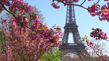 Eyfel Kulesi 'nin önünde çiçek açan kiraz çiçekleri, Paris' te ilkbahar, ünlü simge, temiz seyahat geçmişi, mevsimlik turizm konsepti