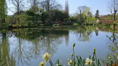 Fransa 'nın Giverny kentindeki Claude Monet bahçesinde çiçek açan ağaçlarla dolu huzurlu bir göletin bahar manzarası. Manzarası izlenimci resme ve doğa turizmine ilham verdi.