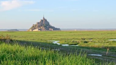 Ön plandaki ilkbahar otundan, Fransa 'nın Mont Saint Michel kentindeki gelgit sulak alanlarının üzerinde yükselen uzak Mont Saint Michel manastırı' na doğru hareket eden raylı alan ikonik ada simgesini ortaya çıkarıyor.