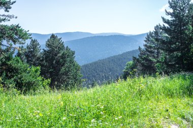 Pirene Dağları tepeden doğal görünümü