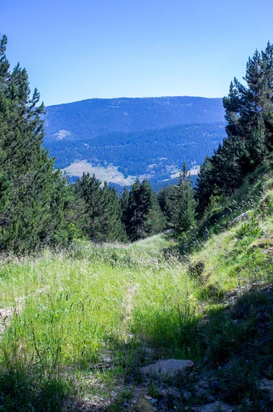 Gölgeli ormandan gelen Pirene Dağları peyzaj