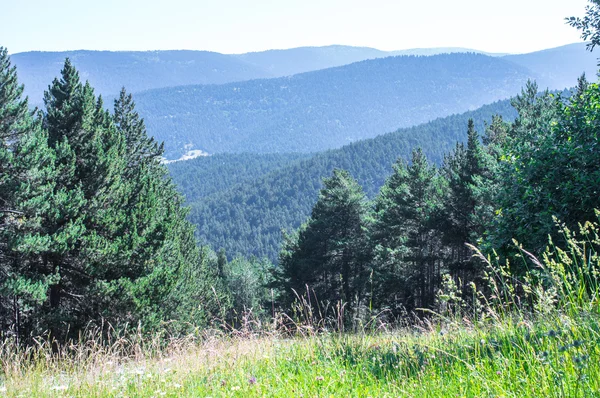 Pirene Dağları tepeden doğal görünümü