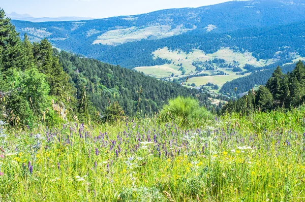 Pyrenees Dağ Manzaralı